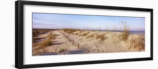 Sand Dunes on the Beach, Anastasia State Recreation Area, St. Augustine, Florida, USA-null-Framed Photographic Print