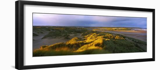 Sand Dunes on the Beach, Newburgh, River Ythan, Aberdeenshire, Scotland-null-Framed Photographic Print