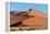 Sand dunes, Sossusvlei, Namib Desert, Namib-Naukluft National Park, Namibia-null-Framed Premier Image Canvas