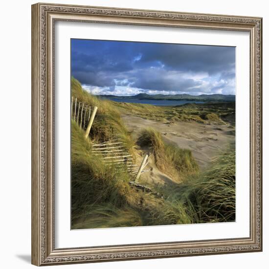 Sand Dunes, Strandhill, County Sligo, Connacht, Repubic of Ireland, Europe-Stuart Black-Framed Photographic Print