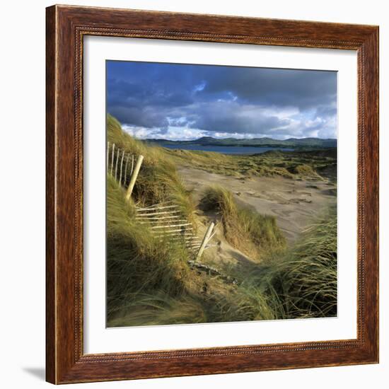 Sand Dunes, Strandhill, County Sligo, Connacht, Repubic of Ireland, Europe-Stuart Black-Framed Photographic Print