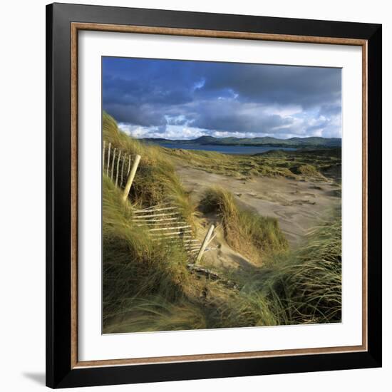 Sand Dunes, Strandhill, County Sligo, Connacht, Repubic of Ireland, Europe-Stuart Black-Framed Photographic Print