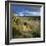 Sand Dunes, Strandhill, County Sligo, Connacht, Repubic of Ireland, Europe-Stuart Black-Framed Photographic Print