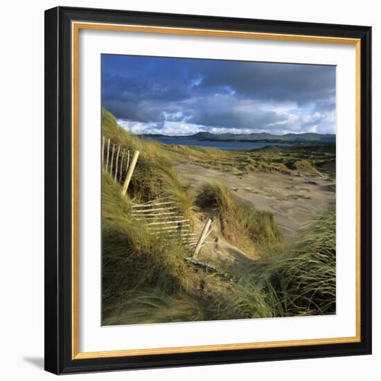 Sand Dunes, Strandhill, County Sligo, Connacht, Repubic of Ireland, Europe-Stuart Black-Framed Photographic Print