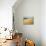 Sand Dunes Stretch into the Distance, in the Coastal Desert Bordering Ica, in Southern Peru-Andrew Watson-Photographic Print displayed on a wall