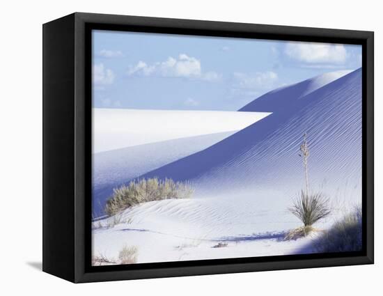 Sand Dunes, White Sands Desert, New Mexico, USA-Adam Woolfitt-Framed Premier Image Canvas