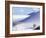 Sand Dunes, White Sands Desert, New Mexico, USA-Adam Woolfitt-Framed Photographic Print