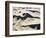 Sand Dunes-Ron Chapple-Framed Photographic Print