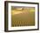 Sand Dunes-Owaki - Kulla-Framed Photographic Print