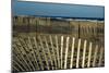 Sand Fence, 2020, (Photograph)-Anthony Butera-Mounted Giclee Print