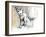 Sand Fox, 2009-Mark Adlington-Framed Giclee Print