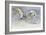 Sand Gazelles, 2009-Mark Adlington-Framed Giclee Print