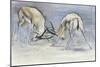 Sand Gazelles, 2009-Mark Adlington-Mounted Giclee Print