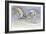 Sand Gazelles, 2009-Mark Adlington-Framed Giclee Print