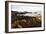 Sand Hill Cove 4-Alan Hausenflock-Framed Photographic Print