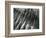 Sand, Oregon, 1967-Brett Weston-Framed Photographic Print