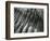 Sand, Oregon, 1967-Brett Weston-Framed Photographic Print