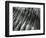 Sand, Oregon, 1967-Brett Weston-Framed Photographic Print