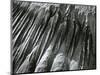 Sand, Oregon, 1967-Brett Weston-Mounted Photographic Print