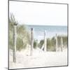 Sand Pathway-Kimberly Allen-Mounted Art Print