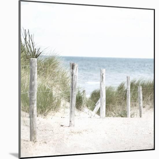 Sand Pathway-Kimberly Allen-Mounted Art Print