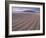 Sand Patterns on the Beach Coll Inner Hebrides, Scotland, UK-Niall Benvie-Framed Photographic Print