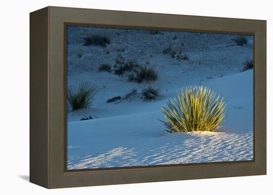 Sand Patterns, Yucca, White Sands Nm, Alamogordo, New Mexico-Michel Hersen-Framed Premier Image Canvas