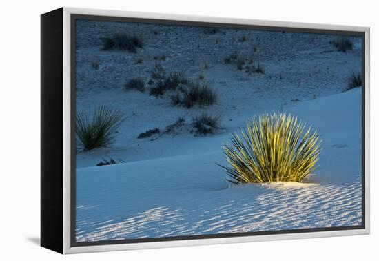 Sand Patterns, Yucca, White Sands Nm, Alamogordo, New Mexico-Michel Hersen-Framed Premier Image Canvas