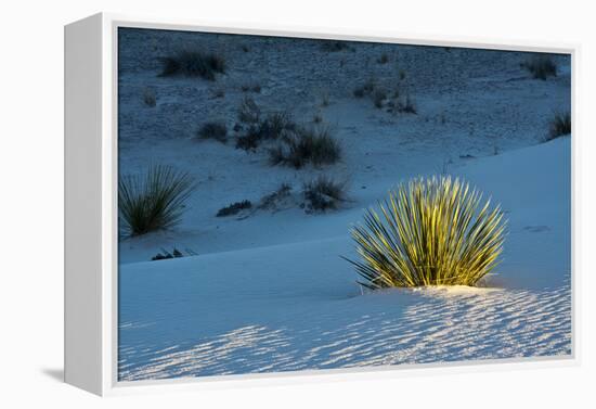 Sand Patterns, Yucca, White Sands Nm, Alamogordo, New Mexico-Michel Hersen-Framed Premier Image Canvas