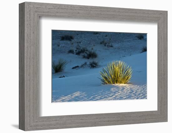 Sand Patterns, Yucca, White Sands Nm, Alamogordo, New Mexico-Michel Hersen-Framed Photographic Print