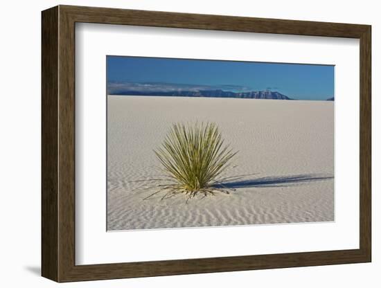 Sand Patterns, Yucca, White Sands Nm, Alamogordo, New Mexico-Michel Hersen-Framed Photographic Print