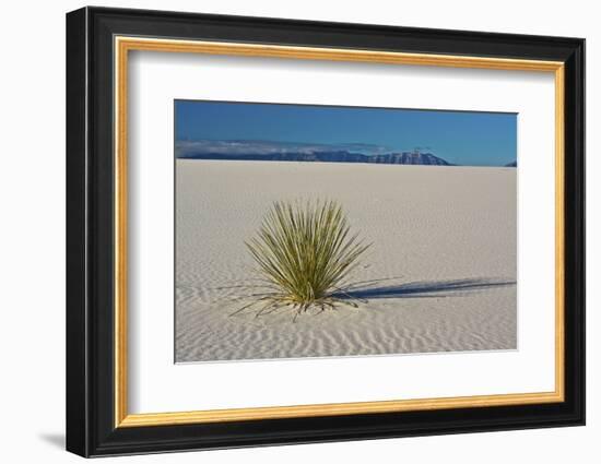 Sand Patterns, Yucca, White Sands Nm, Alamogordo, New Mexico-Michel Hersen-Framed Photographic Print