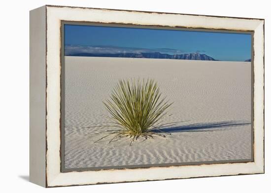 Sand Patterns, Yucca, White Sands Nm, Alamogordo, New Mexico-Michel Hersen-Framed Premier Image Canvas