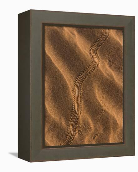 Sand Prints II-Art Wolfe-Framed Premier Image Canvas