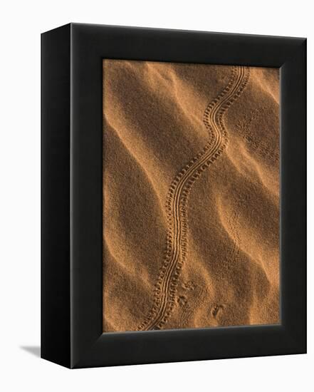 Sand Prints II-Art Wolfe-Framed Premier Image Canvas