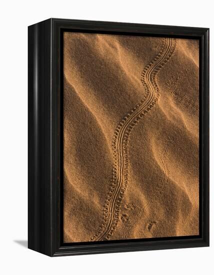 Sand Prints II-Art Wolfe-Framed Premier Image Canvas