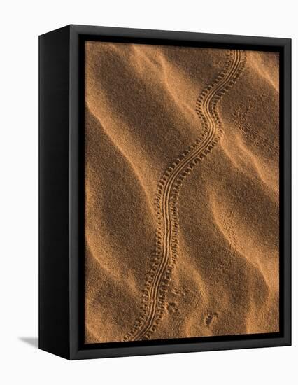 Sand Prints II-Art Wolfe-Framed Premier Image Canvas