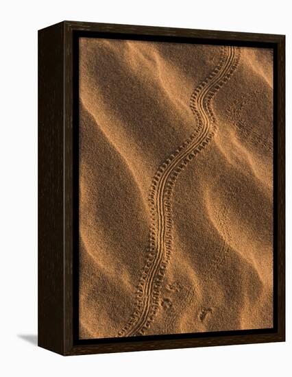 Sand Prints II-Art Wolfe-Framed Premier Image Canvas