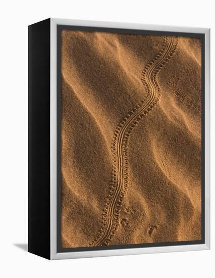 Sand Prints II-Art Wolfe-Framed Premier Image Canvas