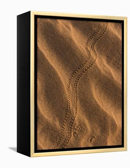 Sand Prints II-Art Wolfe-Framed Premier Image Canvas