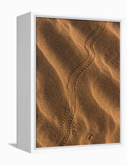 Sand Prints II-Art Wolfe-Framed Premier Image Canvas