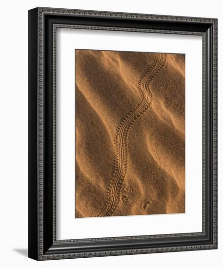 Sand Prints II-Art Wolfe-Framed Photographic Print