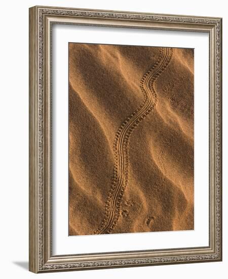 Sand Prints II-Art Wolfe-Framed Photographic Print