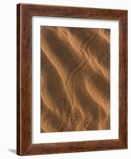 Sand Prints II-Art Wolfe-Framed Photographic Print