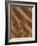 Sand Prints II-Art Wolfe-Framed Photographic Print