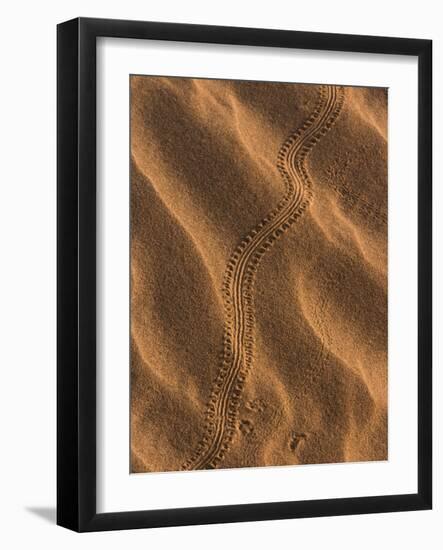 Sand Prints II-Art Wolfe-Framed Photographic Print