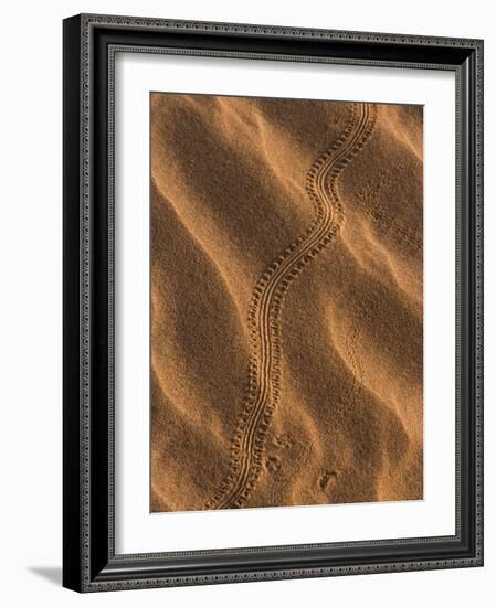 Sand Prints II-Art Wolfe-Framed Photographic Print