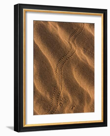 Sand Prints II-Art Wolfe-Framed Photographic Print