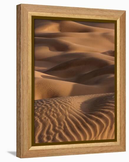 Sand Prints-Art Wolfe-Framed Premier Image Canvas