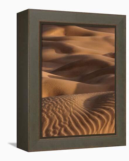 Sand Prints-Art Wolfe-Framed Premier Image Canvas